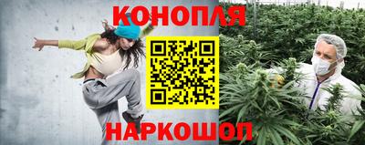 гидра Малгобек